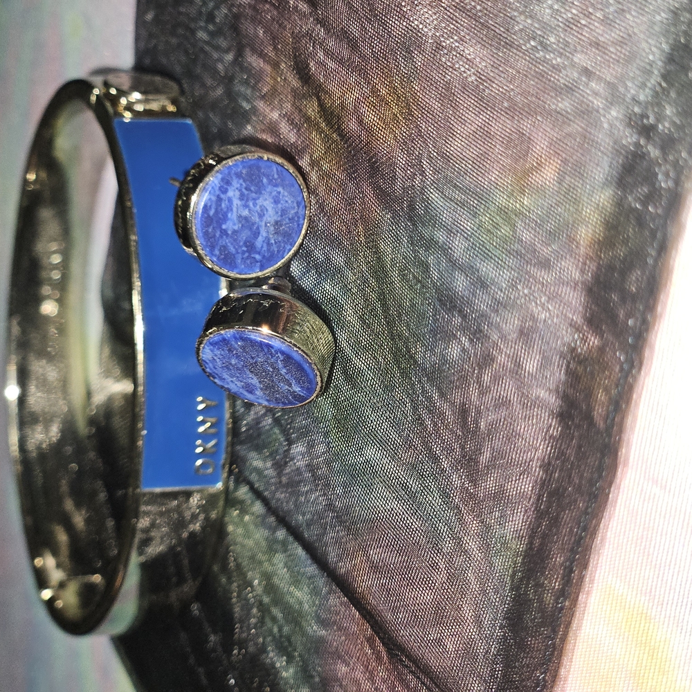 DKNY Silver and Blue Bracelet and Earrings Set